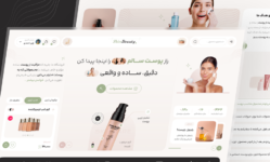 پورتفولیو، قالب شرکتی و چند منظوره